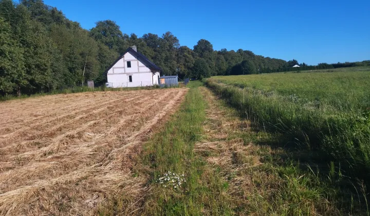 Działka budowlana Nasutów, Nasutów