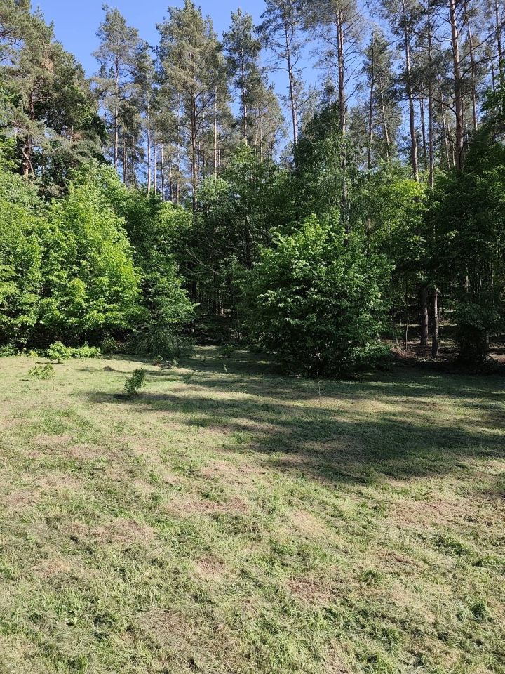 Działka rekreacyjna Bolejny. Zdjęcie 25