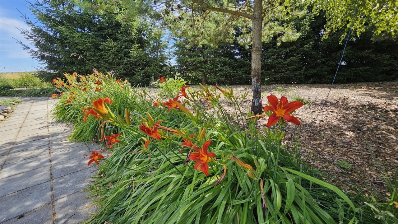 dom wolnostojący, 4 pokoje Grodzisko. Zdjęcie 27