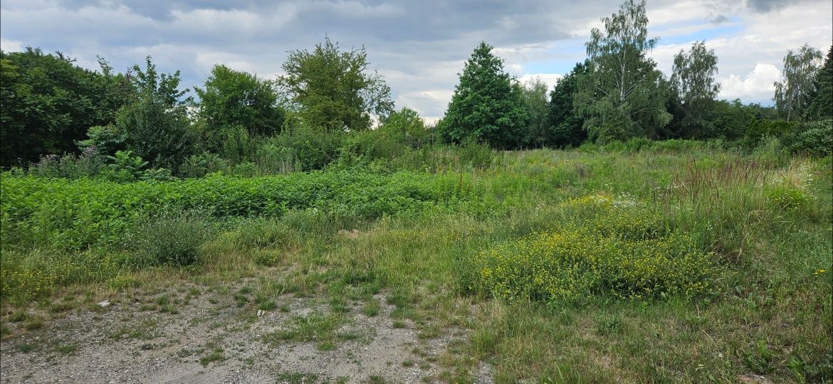 Działka budowlana Gołków. Zdjęcie 3