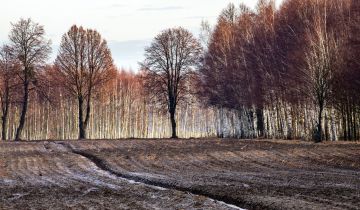 Działka budowlana Jaktorów, Żyrardowska
