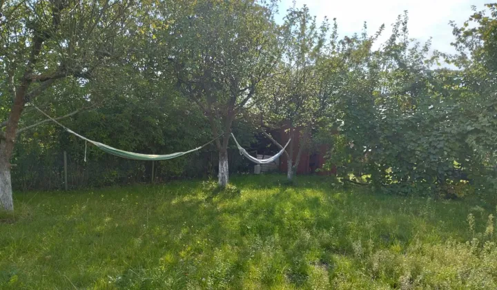 Działka rod Chodzież