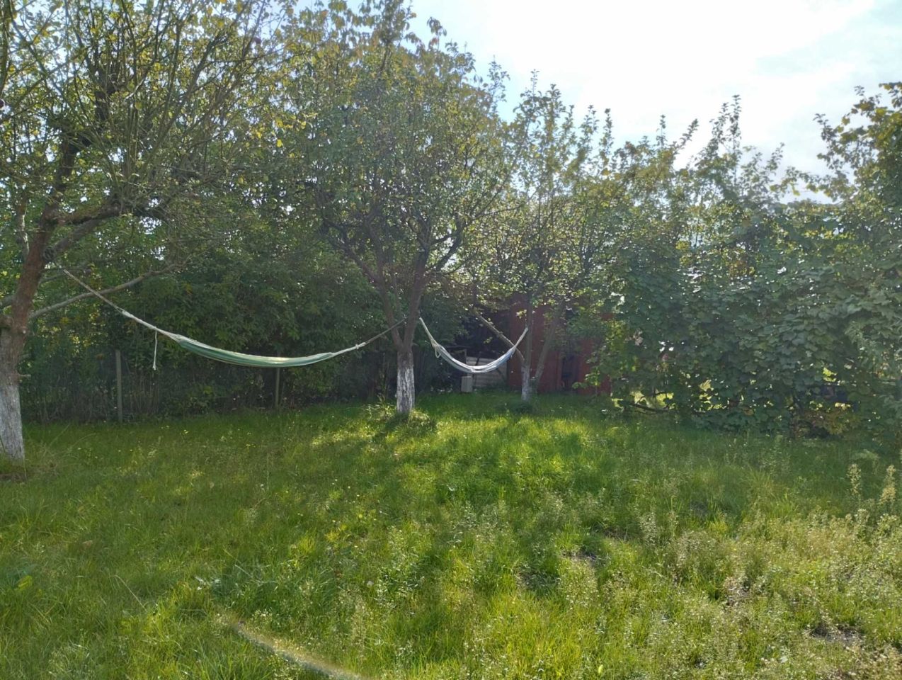 Działka rod Chodzież. Zdjęcie 1