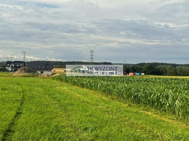 Działka Niestępowo. Zdjęcie 2