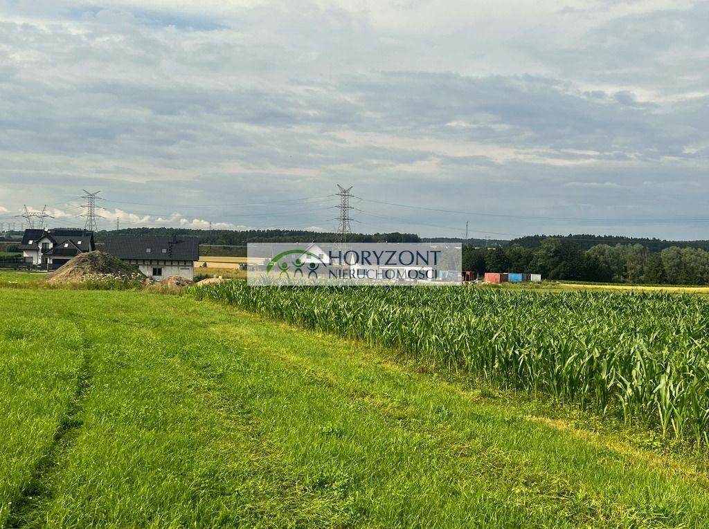 Działka Niestępowo. Zdjęcie 2