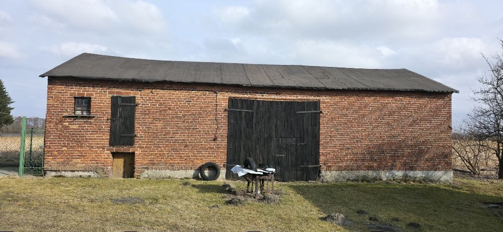 Działka siedliskowa Wierzbie. Zdjęcie 4