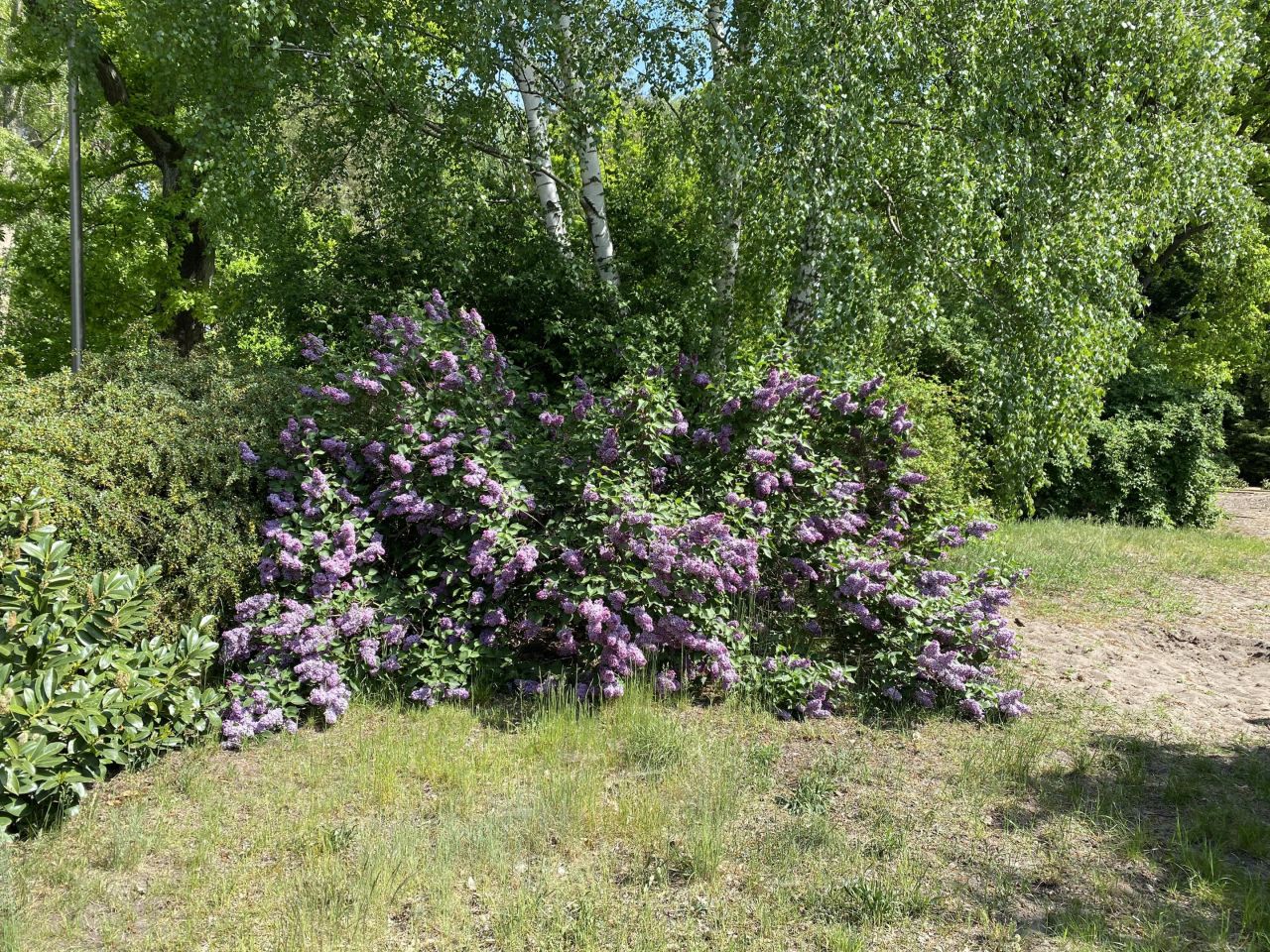 dom wolnostojący, 6 pokoi Świnoujście Łunowo, ul. Zalewowa. Zdjęcie 13