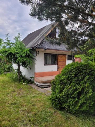 Działka rod Sosnowiec, ul. Kalinowa. Zdjęcie 1