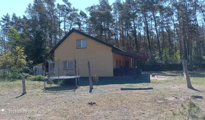 dom wolnostojący, 5 pokoi Łosie, Dzieciola