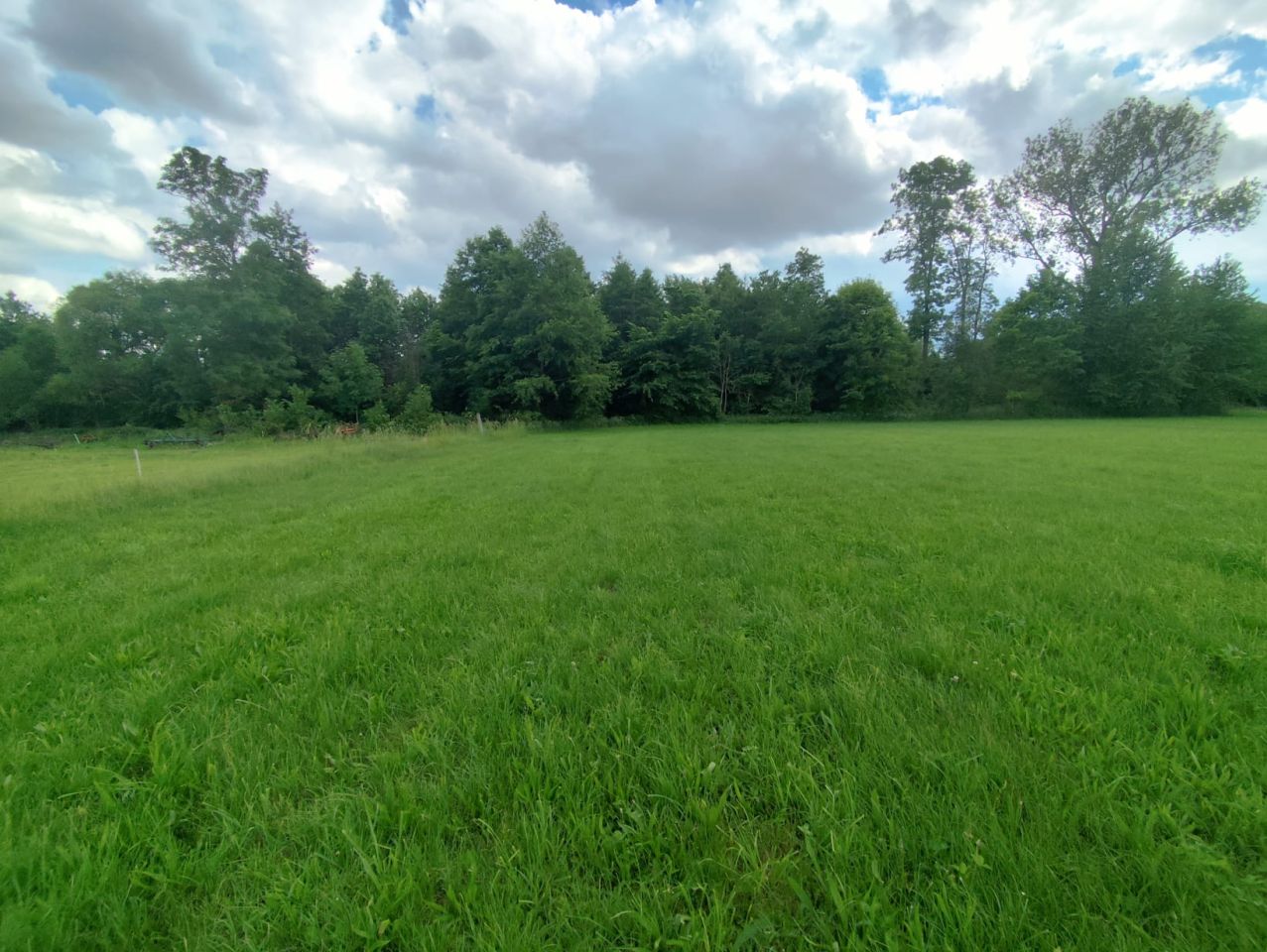 Działka rolno-budowlana Borawskie, Borawskie. Zdjęcie 15