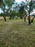 Działka rolno-budowlana Staszów, ul. Krakowska. Zdjęcie 1