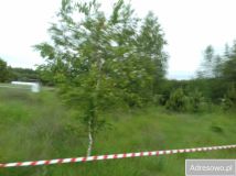 Działka rolno-budowlana Węgrzynówek. Zdjęcie 3