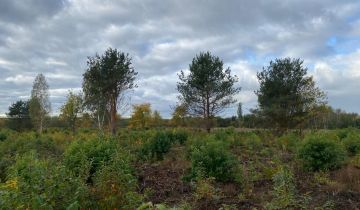 Działka inwestycyjna Skrzeszew, ul. Spokojna