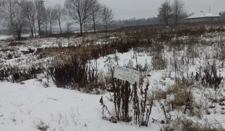 Działka budowlana Sulejów, polanka