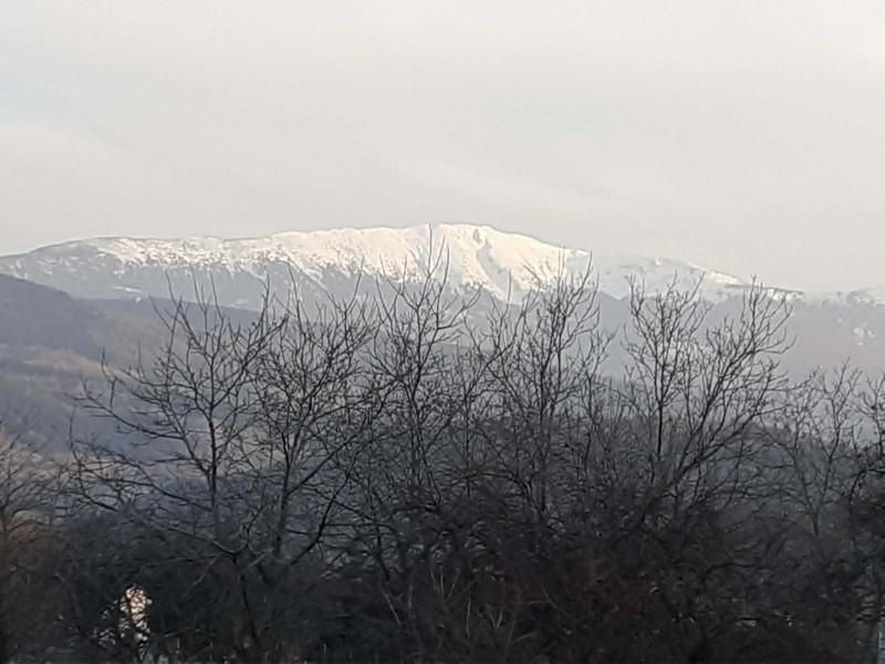 Działka rolno-budowlana Zawoja Dolina. Zdjęcie 8