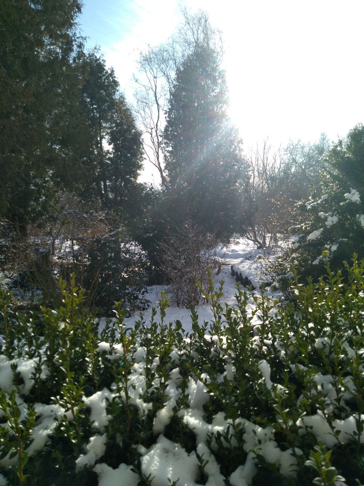 dom wolnostojący, 5 pokoi Janówka. Zdjęcie 8