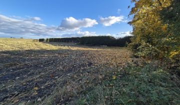 Działka rolno-budowlana Krześnica