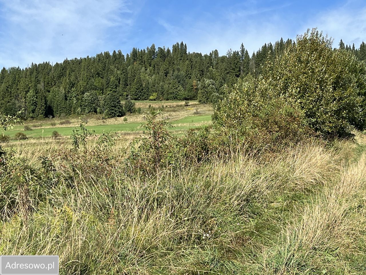 Działka inwestycyjna Czarna Góra. Zdjęcie 8