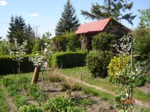Działka rod Ciechanów, Opinogórska. Zdjęcie 3