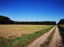 Działka siedliskowa Żegrówko. Zdjęcie 4