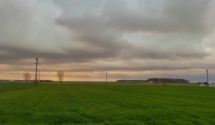 Działka rolno-budowlana Błogoszów Ku Zakrzowiu
