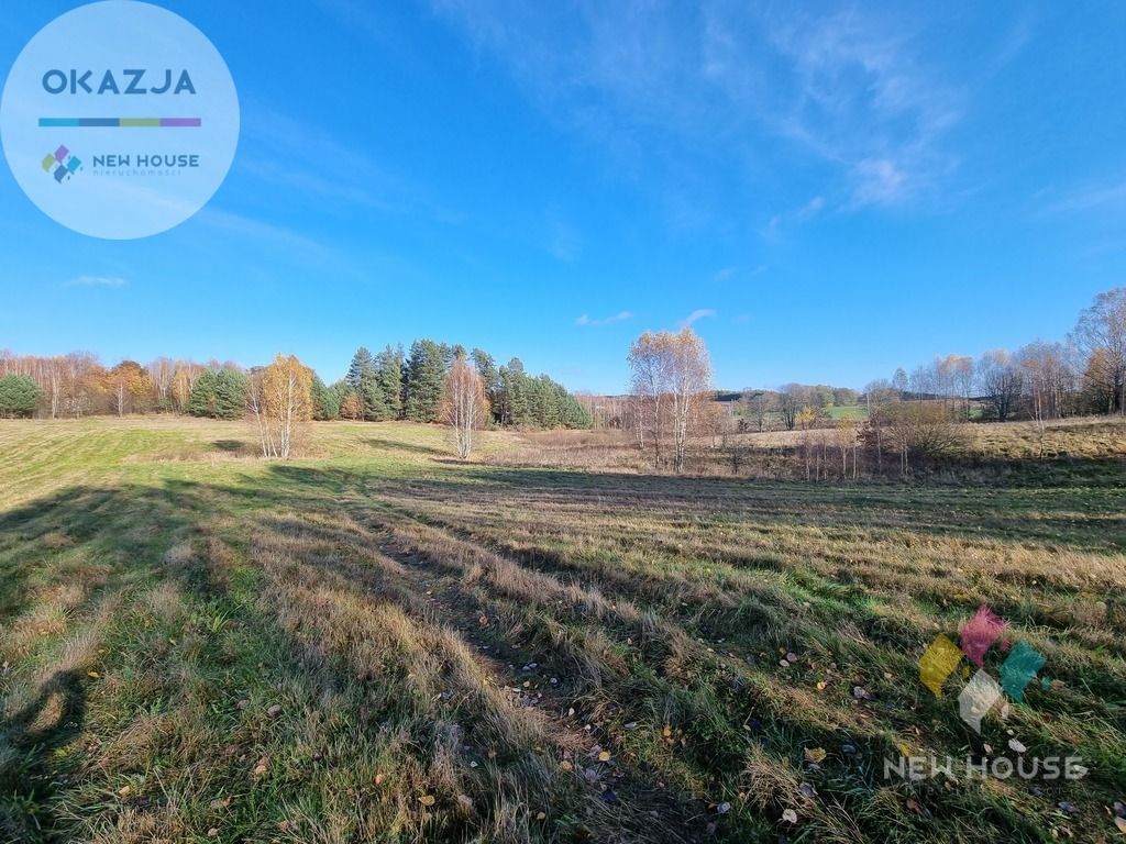 Działka siedliskowa Stryjkowo. Zdjęcie 4