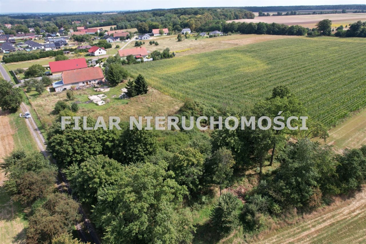 Działka budowlana Miłoradzice. Zdjęcie 6