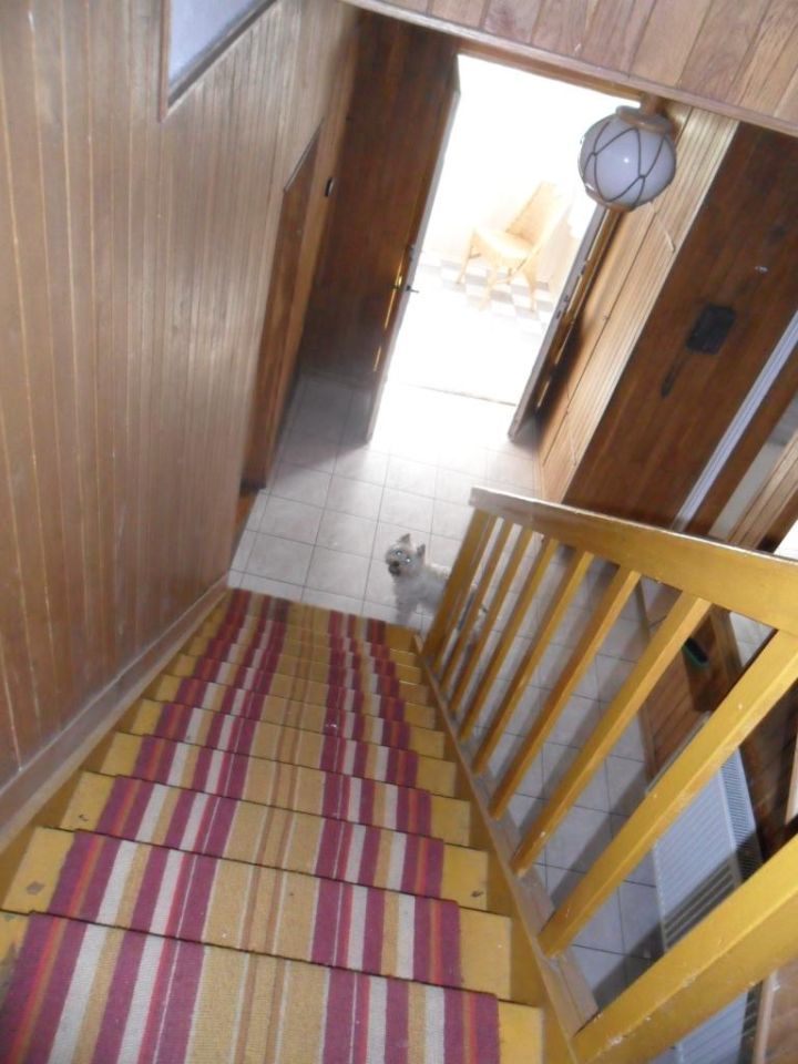 dom wolnostojący, 6 pokoi Rudnik nad Sanem, ul. Ignacego Daszyńskiego. Zdjęcie 12