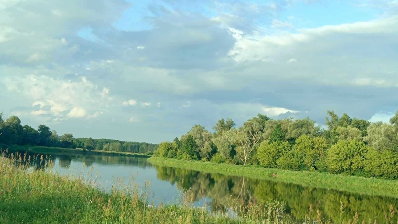 Działka budowlana Wajków. Zdjęcie 2