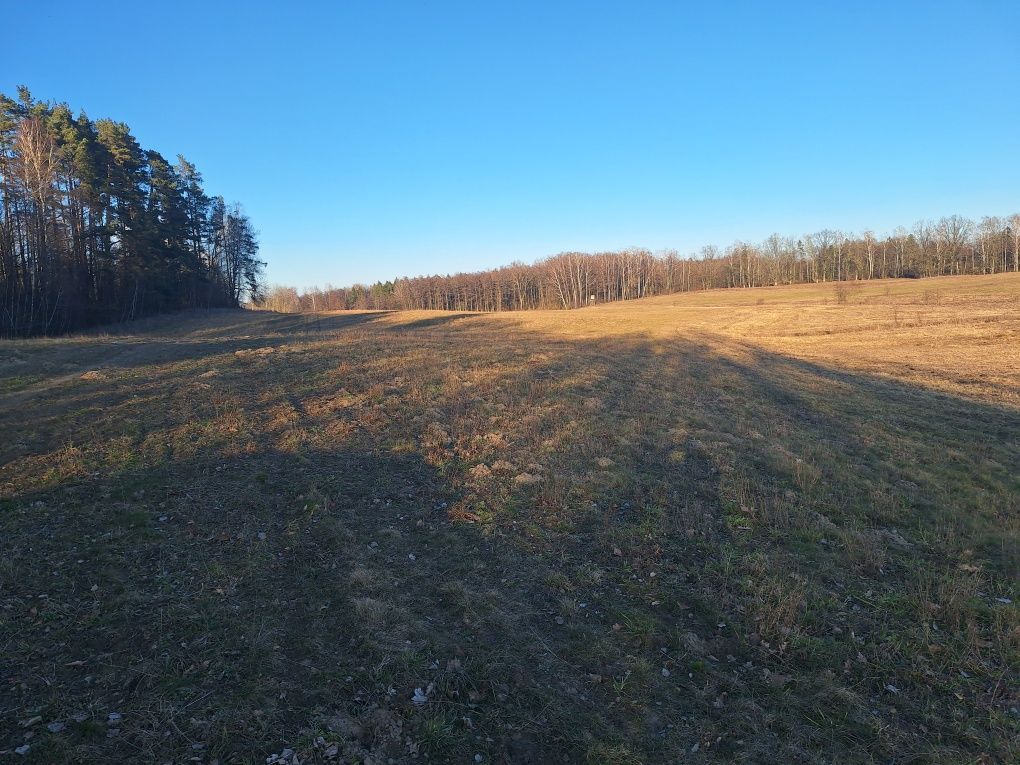 Działka rolna Kruszewiec. Zdjęcie 7