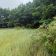 Działka rolna Toruń. Zdjęcie 4