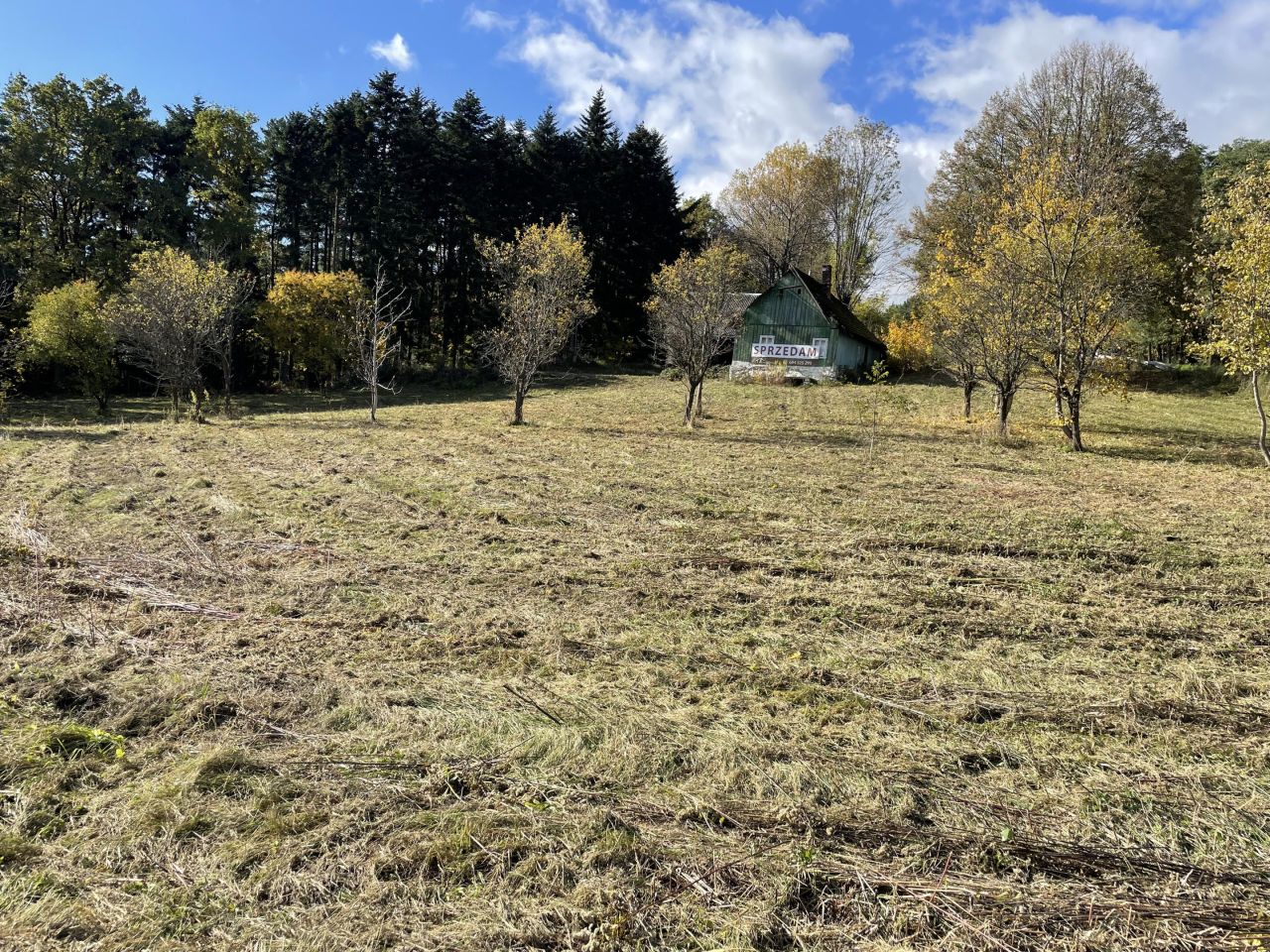 Działka siedliskowa Trzetrzewina Sołtystwo. Zdjęcie 5