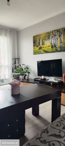 Mieszkanie 3-pokojowe Mostki. Zdjęcie 1