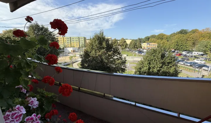 Mieszkanie 3-pokojowe Police, ul. Armii Krajowej