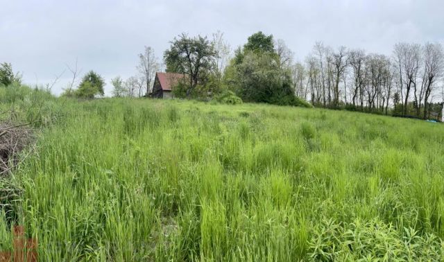 Działka budowlana Bolechowice, ul. Jurajska. Zdjęcie 6