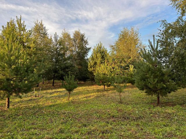 Działka budowlana Konarskie, ul. Osiedle Piaskowe. Zdjęcie 1