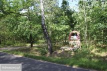 Działka rolno-budowlana Pałki. Zdjęcie 1