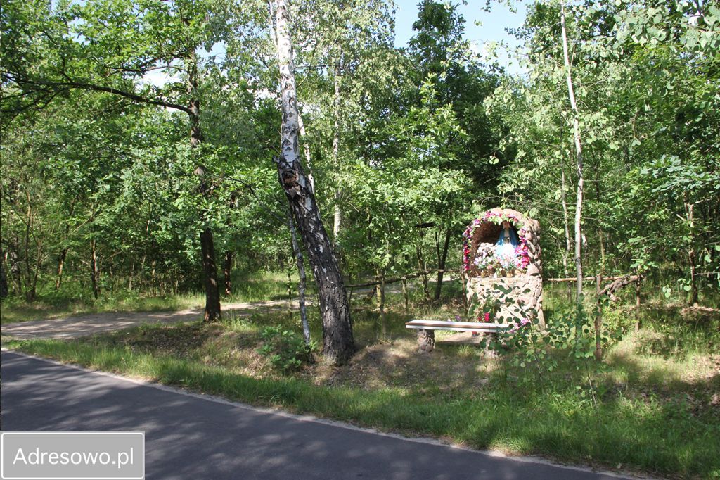 Działka rolno-budowlana Pałki. Zdjęcie 2