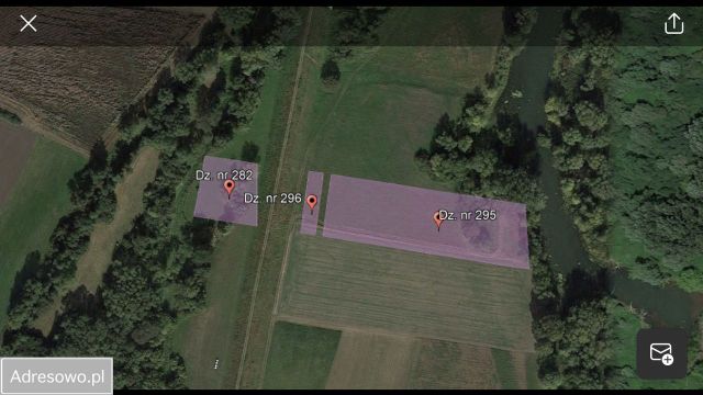 Działka rolna Topolno. Zdjęcie 6