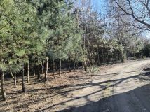 dom wolnostojący Polskie Olędry. Zdjęcie 4