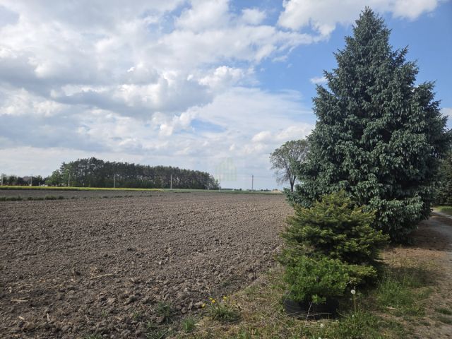 Działka rolna Nowa Sucha. Zdjęcie 3