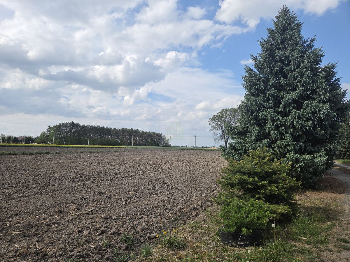 Działka rolna Nowa Sucha. Zdjęcie 3