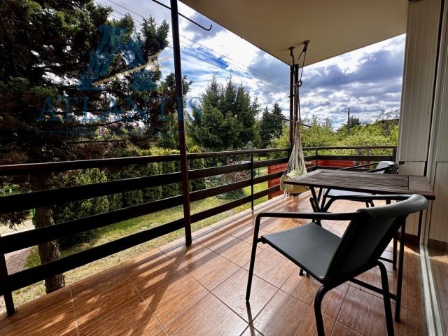 Działka rekreacyjna Wierzchucinek. Zdjęcie 5