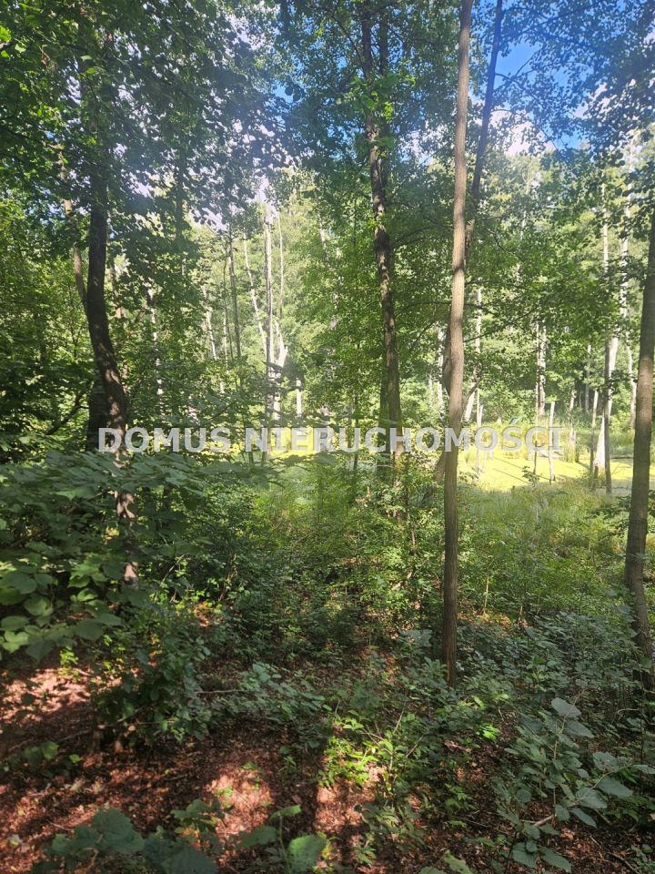 Działka leśna Nagawki. Zdjęcie 2