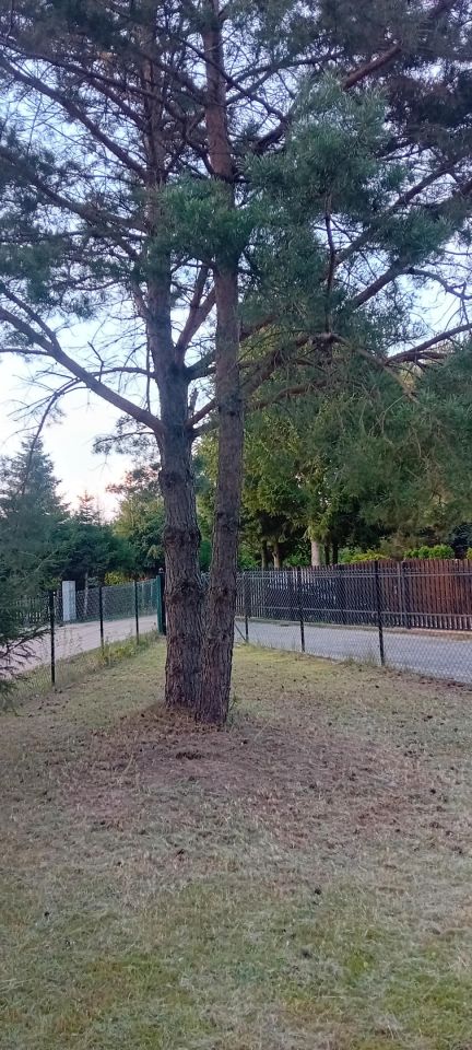 Działka rekreacyjna Serwy. Zdjęcie 7