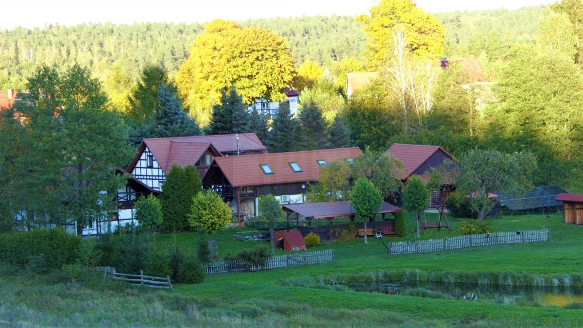 dom wolnostojący, 14 pokoi Rychnowska Wola. Zdjęcie 13