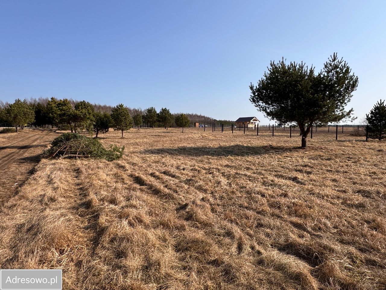 Działka rekreacyjna Dołgie. Zdjęcie 9