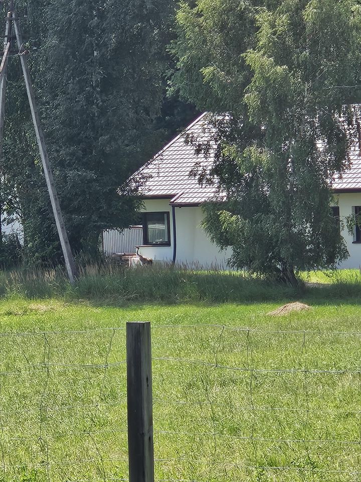 dom wolnostojący, 5 pokoi Dąbrowa Chełmińska Linie, ul. Linie. Zdjęcie 20