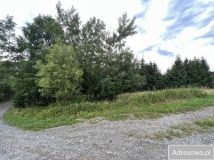 Działka rolno-budowlana Ludwikowice Kłodzkie, ul. Kolonia Jana Kasprowicza. Zdjęcie 3