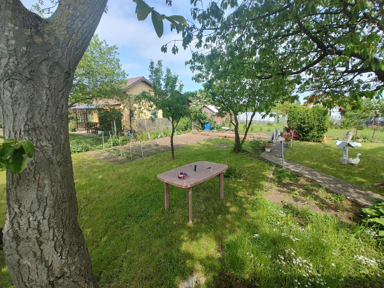 Działka rod Kołobrzeg, ul. Janiska. Zdjęcie 11